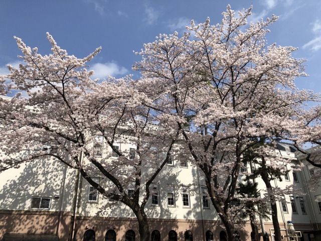 tsuda-inti_03
