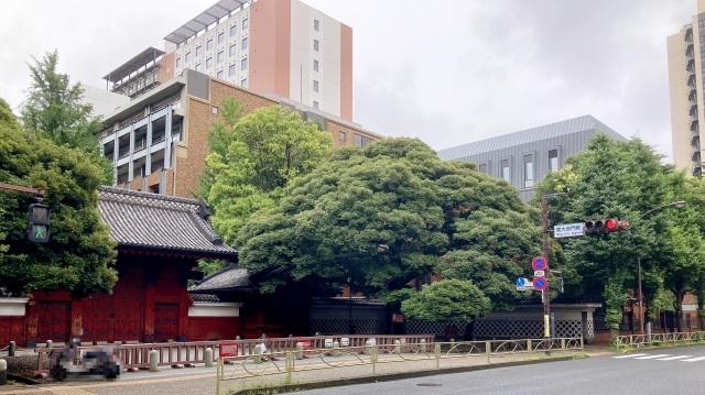 東京大学経済学部(文科二類)の学校型推薦の合格事例と対策法    